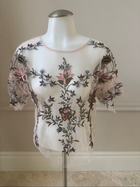 Dalia Sheer Blush Pink Floral Embroidered Short Sleeve Top